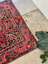 Load image into Gallery viewer, Janetta | 8.2x11.9 | Stunning Butterfly Geometric Persian Bakhtiar - The Curated Loom