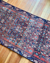 Load image into Gallery viewer, Chloe | 3.0x9.3 | Lilihan Malayer Charming Pastel Runner