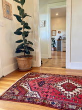 Load image into Gallery viewer, Juniper l 3x6.5 l Bright & Vibrant Khamseh