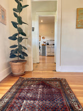 Load image into Gallery viewer, Samson | 3.9x6.1 | Moody worn and distressed malayer