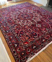 Load image into Gallery viewer, Sophia |10.2 x 12.4 | Gorgeous & Timeless Plush Area rug