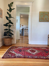 Load image into Gallery viewer, Juniper l 3x6.5 l Bright & Vibrant Khamseh