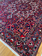 Load image into Gallery viewer, Sophia |10.2 x 12.4 | Gorgeous & Timeless Plush Area rug