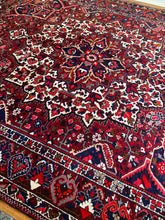 Load image into Gallery viewer, Sophia |10.2 x 12.4 | Gorgeous & Timeless Plush Area rug